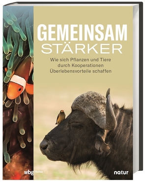 Gemeinsam stärker von Stegemann,  Andrea