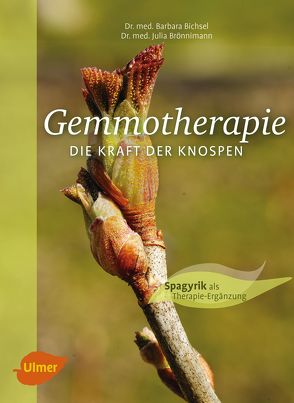 Gemmotherapie. Die Kraft der Knospen von Bichsel-Altherr,  Barbara, Brönnimann,  Julia