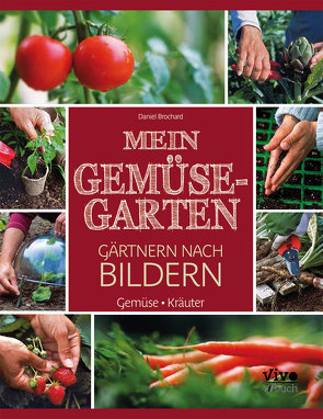 Gemüsegarten – nach Bildern