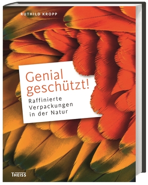 Genial geschützt! von Becker,  Ester, Bluhme,  Nora, Bopp,  Martin, Drewing,  Maike, Dworazcek,  Eileen, Heberer,  Carina, Kiefer,  Johanna, Köcke,  Valerie, Kräbs,  Gudrun, Kropp,  Ruthild, Lotzkat,  Sebastian, Offer,  Christian, Röpke,  Astrid, Schweia-Buttero,  Anja, Stanke,  Matthias, Steinecke,  Hilke, Stobbe,  Astrid