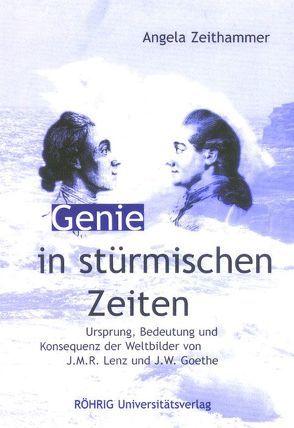 Genie in stürmischen Zeiten von Zeithammer,  Angela