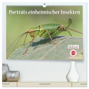 GEOclick Lernkalender: Porträts einheimischer Insekten (hochwertiger Premium Wandkalender 2024 DIN A2 quer), Kunstdruck in Hochglanz von Feske /GEOclick,  Klaus