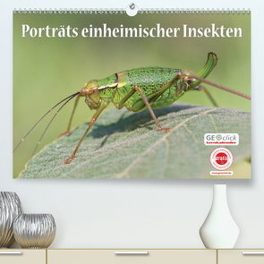 GEOclick Lernkalender: Porträts einheimischer Insekten (Premium, hochwertiger DIN A2 Wandkalender 2021, Kunstdruck in Hochglanz) von Feske /GEOclick,  Klaus