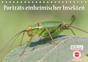 GEOclick Lernkalender: Porträts einheimischer Insekten (Tischkalender 2021 DIN A5 quer) von Feske /GEOclick,  Klaus