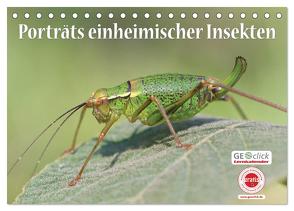 GEOclick Lernkalender: Porträts einheimischer Insekten (Tischkalender 2024 DIN A5 quer), CALVENDO Monatskalender von Feske /GEOclick,  Klaus