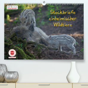 GEOclick Lernkalender: Steckbriefe einheimischer Wildtiere (Premium, hochwertiger DIN A2 Wandkalender 2021, Kunstdruck in Hochglanz) von Feske,  Klaus