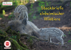 GEOclick Lernkalender: Steckbriefe einheimischer Wildtiere (Wandkalender 2021 DIN A2 quer) von Feske,  Klaus