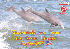 GEOclick Lernkalender: Steckbriefe von Tieren aus fernen Ländern: Florida/USA (Wandkalender 2021 DIN A2 quer) von Feske,  Klaus