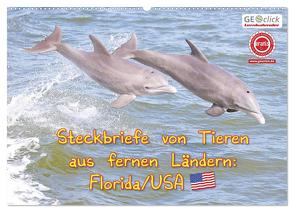 GEOclick Lernkalender: Steckbriefe von Tieren aus fernen Ländern: Florida/USA (Wandkalender 2024 DIN A2 quer), CALVENDO Monatskalender von Feske,  Klaus