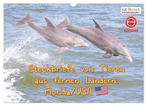 GEOclick Lernkalender: Steckbriefe von Tieren aus fernen Ländern: Florida/USA (Wandkalender 2024 DIN A3 quer), CALVENDO Monatskalender von Feske,  Klaus