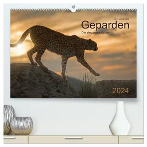 Geparden. Die eleganten Katzen. (hochwertiger Premium Wandkalender 2024 DIN A2 quer), Kunstdruck in Hochglanz von Koch,  Lucyna