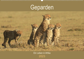 Geparden – Ein Leben in Afrika (Wandkalender 2023 DIN A2 quer) von Herzog,  Michael