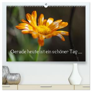 Gerade heute ist ein schöner Tag ….. (hochwertiger Premium Wandkalender 2024 DIN A2 quer), Kunstdruck in Hochglanz von Wiencke,  Günter