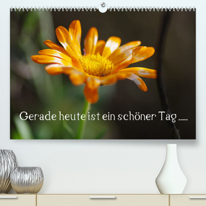 Gerade heute ist ein schöner Tag ….. (Premium, hochwertiger DIN A2 Wandkalender 2023, Kunstdruck in Hochglanz) von Wiencke,  Günter