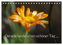 Gerade heute ist ein schöner Tag ….. (Tischkalender 2024 DIN A5 quer), CALVENDO Monatskalender von Wiencke,  Günter