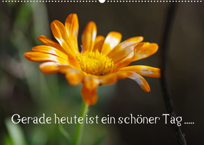Gerade heute ist ein schöner Tag ….. (Wandkalender 2023 DIN A2 quer) von Wiencke,  Günter