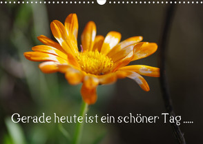 Gerade heute ist ein schöner Tag ….. (Wandkalender 2023 DIN A3 quer) von Wiencke,  Günter