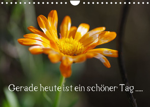 Gerade heute ist ein schöner Tag ….. (Wandkalender 2023 DIN A4 quer) von Wiencke,  Günter