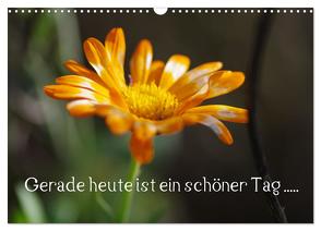 Gerade heute ist ein schöner Tag ….. (Wandkalender 2024 DIN A3 quer), CALVENDO Monatskalender von Wiencke,  Günter