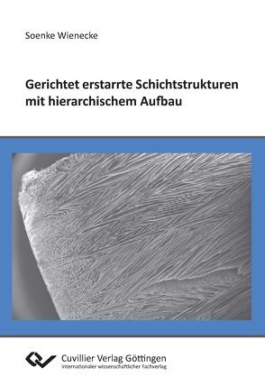 Gerichtet erstarrte Schichtstrukturen mit hierarchischem Aufbau von Wienecke,  Soenke