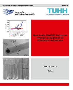 Gerichtete MWCNT/Polypyrrol Hybride als Material für anisotrope Aktuatoren von Schnoor,  Thea