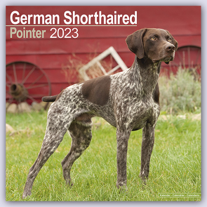 German Shorthaired Pointer – Deutsch Kurzhaar 2023 – 16-Monatskalender