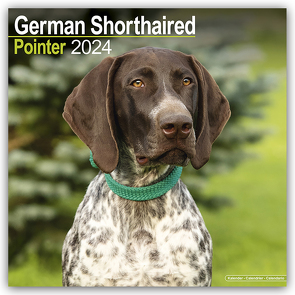 German Shorthaired Pointer – Deutsch Kurzhaar 2024 – 16-Monatskalender