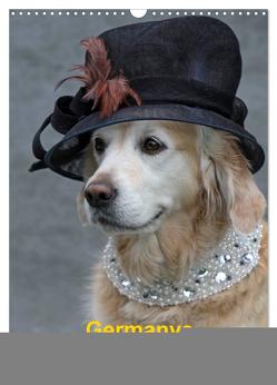 Germanys Best Dog Models – gestylte Labrador und Golden Retriever (Wandkalender 2024 DIN A3 hoch), CALVENDO Monatskalender von Voigt-Papke,  Gabriele