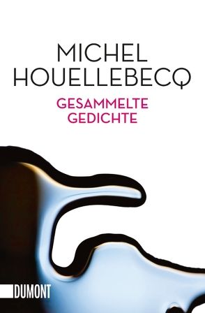 Gesammelte Gedichte von Houellebecq,  Michel, Kleiner,  Stephan, Schmidt-Henkel,  Hinrich