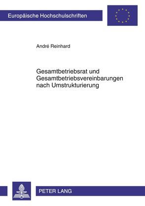 Gesamtbetriebsrat und Gesamtbetriebsvereinbarungen nach Umstrukturierung von Reinhard,  André