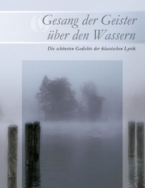 Gesang der Geister über den Wassern von Berghoff,  Stephan