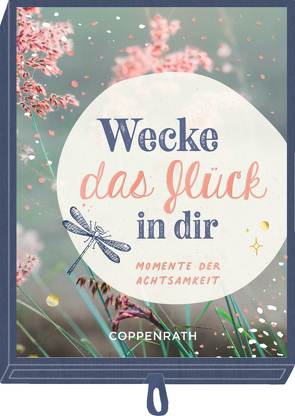 Geschenkschachtel – Wecke das Glück in dir von Dönnebrink,  Katrin, Kölsch,  Christina