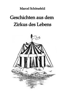 Geschichten aus dem Zirkus des Lebens von Schönefeld,  Marcel