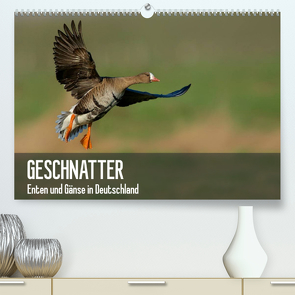 Geschnatter – Enten und Gänse in Deutschland (Premium, hochwertiger DIN A2 Wandkalender 2023, Kunstdruck in Hochglanz) von Krebs,  Alexander