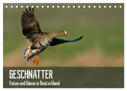 Geschnatter – Enten und Gänse in Deutschland (Tischkalender 2024 DIN A5 quer), CALVENDO Monatskalender von Krebs,  Alexander