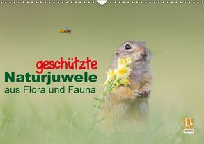 geschützt Naturjuwele aus Flora und Fauna (Wandkalender 2018 DIN A3 quer) von Petzl,  Perdita