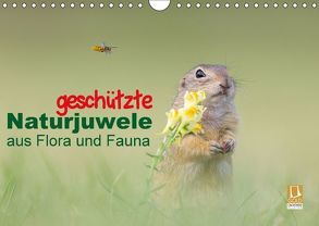 geschützt Naturjuwele aus Flora und Fauna (Wandkalender 2018 DIN A4 quer) von Petzl,  Perdita