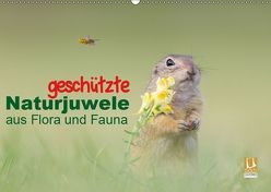 geschützt Naturjuwele aus Flora und Fauna (Wandkalender 2019 DIN A2 quer) von Petzl,  Perdita