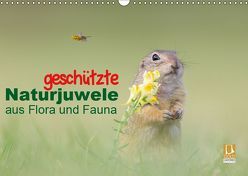 geschützt Naturjuwele aus Flora und Fauna (Wandkalender 2019 DIN A3 quer) von Petzl,  Perdita