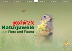 geschützt Naturjuwele aus Flora und Fauna (Wandkalender 2019 DIN A4 quer) von Petzl,  Perdita