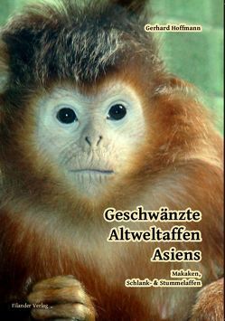 Geschwänzte Altweltaffen Asiens von Hoffmann,  Gerhard