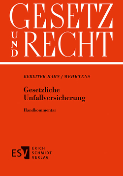 Gesetzliche Unfallversicherung – Abonnement Pflichtfortsetzung für mindestens 12 Monate von Bereiter-Hahn,  Werner, Mehrtens,  Gerhard