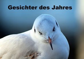 Gesichter des Jahres (Posterbuch DIN A3 quer) von Witkowski,  Bernd