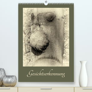 Gesichtserkennung (Premium, hochwertiger DIN A2 Wandkalender 2021, Kunstdruck in Hochglanz) von Flori0