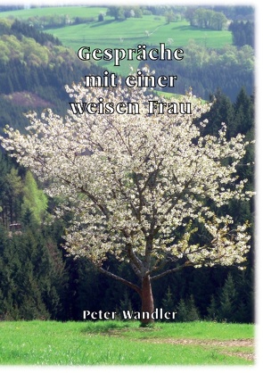 Gespräche mit einer weisen Frau von Wandler,  Peter