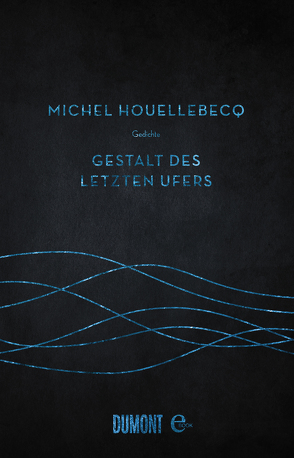 Gestalt des letzten Ufers von Houellebecq,  Michel, Kleiner,  Stephan, Schmidt-Henkel,  Hinrich