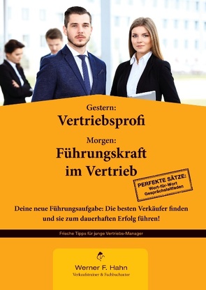 Gestern: Vertriebsprofi – Morgen: Führungskraft im Vertrieb von Hahn,  Werner F.