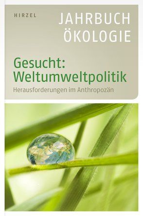 Gesucht: Weltumweltpolitik von Leitschuh,  Heike, Michelsen,  Gerd, Simonis,  Udo Ernst, Sommer,  Jörg, Weizsäcker,  Ernst Ulrich von