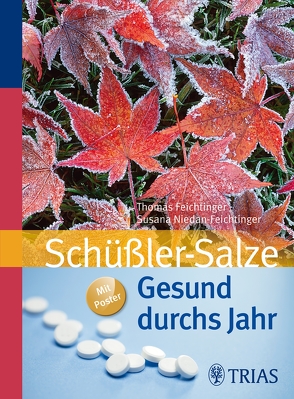 Gesund durchs Jahr mit Schüßler-Salzen von Feichtinger,  Thomas, Niedan-Feichtinger,  Susana