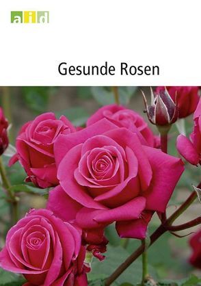 Gesunde Rosen von Dalchow,  Joachim, Haslage,  Susanne, Idczak,  Elke, Menzel,  Peter, Moeller,  Hans, Spellerberg,  Burkhard, Werres,  Sabine